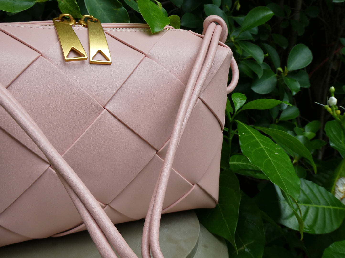 PV, Baby Pink