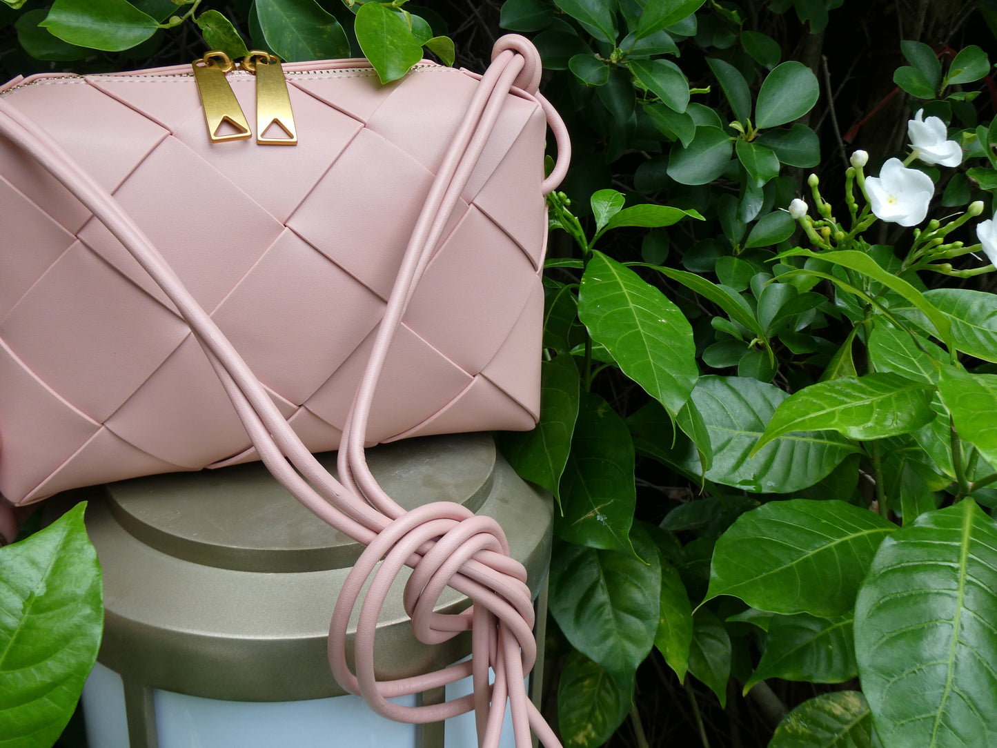 PV, Baby Pink
